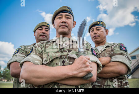 Exercise Northern Strike ist eine multinationale Kampfsportveranstaltung, die in den Vereinigten Staaten durchgeführt wird. Das Archivbild dokumentiert Mitglieder des 3. Bataillons, des Königlichen Regiments der Prinzessin von Wales, bekannt als die Tiger, die zusammen mit anderen Streitkräften an der jährlichen Übung teilnehmen, zu der auch Reservisten aus Kent, Surrey und Sussex gehören, die an einem Bereitschaftstraining beteiligt sind. Stockfoto