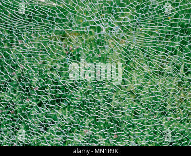 Gebrochene Glas der Windschutzscheibe auf einem grünen Hintergrund. Stockfoto