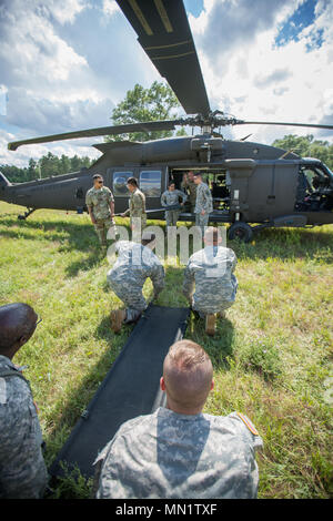 U.S. Army Reserve Soldaten aus der 328 Combat Support Hospital (CSH) und 349 CSH Praxis Kalt-Techniken im Kampf Support Training (CSTX) 86-17-02 am Fort McCoy, Wis., 10. August 2017. Kalt - last Wurf Techniken Durchführung einer leeren Wurf. CSTX umfasst mehr als 12.000 service Mitglieder aus der Armee, Marine, Luftwaffe und Marine Corps sowie aus sechs Ländern. CSTX ist ein groß angelegtes Training Event, wo Einheiten taktische Schulung Szenarien speziell für real zu replizieren - Welt Missionen erleben. (U.S. Armee finden Foto von SPC. John Russell/Freigegeben) Stockfoto