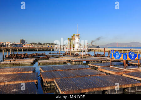 Die schönen Pier 39 und Light House in San Francisco Stockfoto