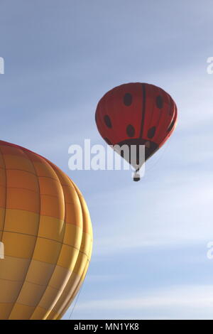 Heißluftballons, die gegen einen frühen Morgen blauer Himmel Stockfoto