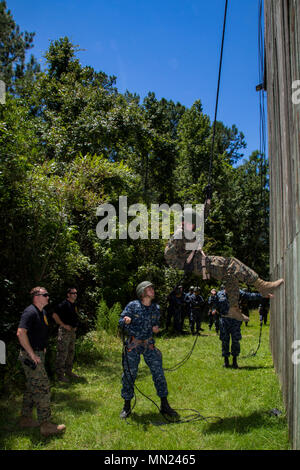 Ein U.S. Naval ROTC Midshipman rappels hinunter eine Wand während Karriere orientierte Ausbildung für die Midshipmen (CORTRAMID) Marine Woche, Camp Lejeune, N.C., 25. Juli 2017. Der Zweck der CORTRAMID ist es, den Studenten zu Chancen in der Fleet Marine zu entlarven und ein Interesse an einer Marine Corps Kommission generieren. (U.S. Marine Corps Foto von Cpl. Judith L. Harter) Stockfoto