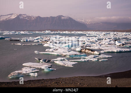 Eisberge in der gletscherlagune Joekulsarlon driften, tagsüber lange Belichtung geschossen, Island. Stockfoto