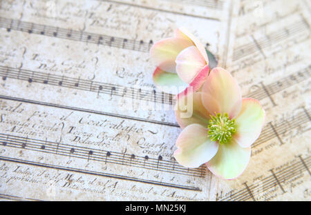 Fastenzeit Rosen (Flower) auf alten Noten Stockfoto