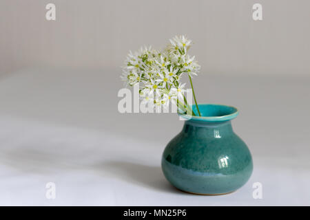 Ein sträußchen von Bärlauch Blumen (Bärlauch) in einem handgefertigte Keramik Vase. Stockfoto