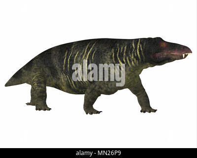 Jonkeria Dinosaurier Seite Profil - Jonkeria truculenta war ein Allesfresser therapsid Dinosaurier, die in Südafrika während der Permian Periode lebte. Stockfoto