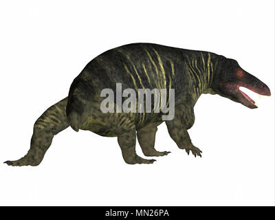 Jonkeria Dinosaurier Schwanz - Jonkeria truculenta war ein Allesfresser therapsid Dinosaurier, die in Südafrika während der Permian Periode lebte. Stockfoto