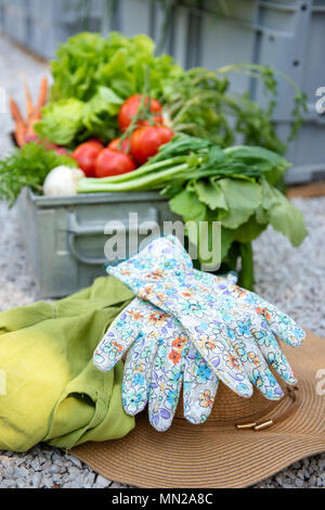 Kiste voller frisch geerntete Gemüse, Stroh, Hut und Handschuhen in einem Garten. Homegrown bio produzieren Konzept. Ansicht von oben. Stockfoto
