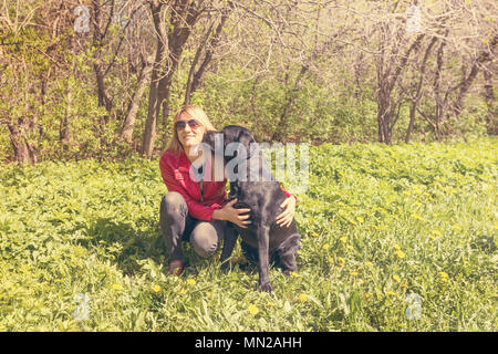 Niedlichen schwarzen Labrador Hund küssen eine Frau in einem Sommer Green Park Stockfoto