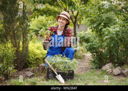 Frau Gärtner holding Sämling von Tomate Stockfoto