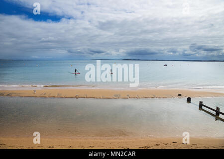 Zwei stand up Paddler auf Surfboards in blauem Wasser und Strand in Cowes, Phillip Island, Victoria, Australien Stockfoto