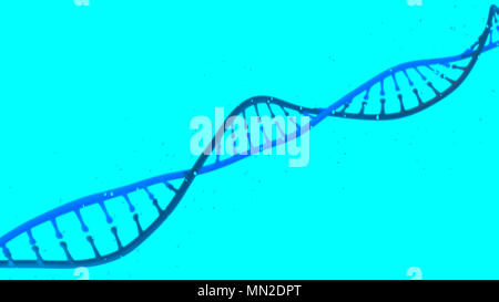 DNA Desoxyribonukleinsäure ist ein thread-wie-Kette von Nukleotiden, die genetischen Anweisungen aller bekannten lebenden Organismen. DNA-Helix Stockfoto