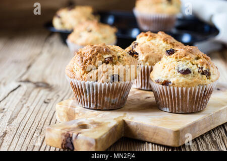 Frühstück Maismehl Muffins mit Rosinen, traditionellen amerikanischen Home Backen Stockfoto