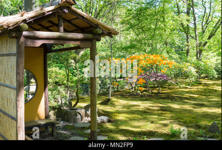 Wunderschöner Garten Park Clingendael in Holland, das ist eine öffentliche Park mit wunderschönen Blumen und Pflanzen wie Azaleen und rhodondendron und Japan Stockfoto