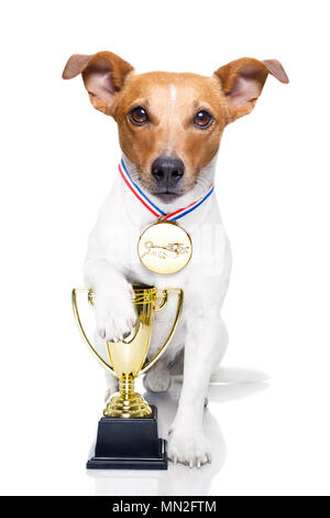 Jack Russell Hund mit einem goldenen Sieger Trophy Holding mit Paw, auf weißem Hintergrund Stockfoto