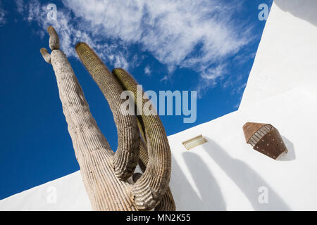 La Asomada, Lanzarote, Kanarische Inseln, Spanien: Ein großer Kaktus Baum im Garten der Fundación César Manrique Museum. Stockfoto