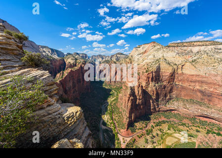 Weitwinkel panorama Blick auf Zion Canyon, mit dem Virgin River, Angels Landing Trail, Zion National Park, Utah, USA Stockfoto