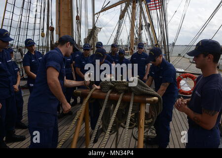 USCGC Eagle (WIX-327) ist eine 295-Fuß-Barke, die von der United States Coast Guard als Segelschulschiff betrieben wird und ursprünglich 1936 in Deutschland gebaut und 1946 von den Vereinigten Staaten als Reparationsleistung erworben wurde. Am 28. August 2017, während einer Fahrt auf der Officer Candidate School auf der Coast Guard Base Portsmouth, Virginia, wiesen die Besatzungsmitglieder die Kandidaten in der Abbildung-8-Linienführung auf dem Staysail Sheet an. Das Archivbild dokumentiert die Schulung für Seeleute. Stockfoto