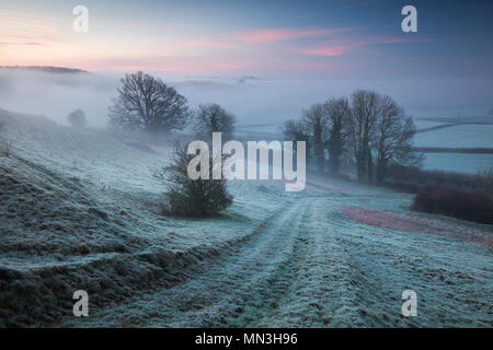 Eine frostige, Misty dawn auf Vartenham Hill, milborne Port, Somerset, England, Großbritannien Stockfoto