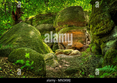 Riesige Moos und Flechten bedeckte Felsen bei Nelson Ledges State Park Ohio. Stockfoto