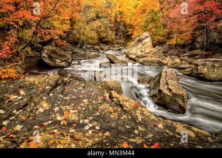 Berea fällt Ohio während der Spitzenzeiten fallen Farben. Dieser Wasserfall sieht es am besten mit peak Herbst Farben in den Bäumen. Stockfoto