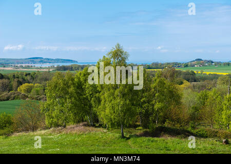 Blick über die Landschaft von Mönchgut, Göhren, Insel Rügen, Insel Rügen, Mecklenburg-Vorpommern, Sachsen, Germany, Deutschland Stockfoto