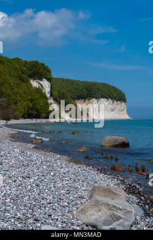 Weißer Kreide Küste, Insel Rügen, Ostsee, Mecklenburg-Vorpommern, Deutschland, Europa Stockfoto