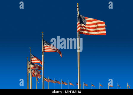 Die amerikanische Flaggen rund um das Washington Monument. In Washington DC entfernt. Stockfoto