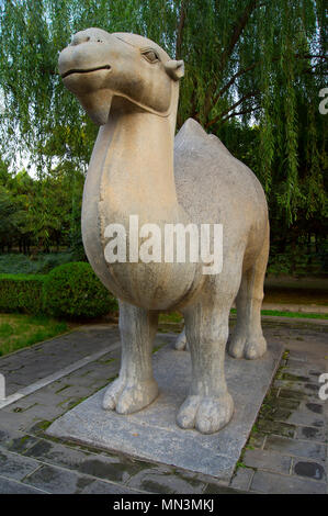 Eine stilisierte Stein - Chinesische Kamel in einem Park in der Nähe des Ming Gräber geschnitzt, nordwestlich von Beijing, China. Stockfoto