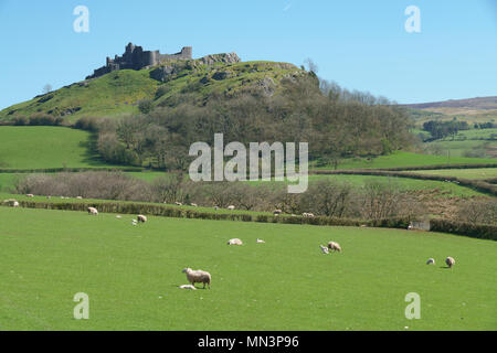 Ruinen von Carreg Cennen Castle thront auf einem Bergrücken in der Nähe der Ortschaft Trap, in den Brecon Beacons National Park, South Wales. Es war Abfall während des festgelegten Stockfoto