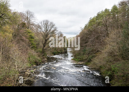 Der Fluss Mandel in Almondell Counrty Park von den Nasmyth Brücke aus gesehen Stockfoto