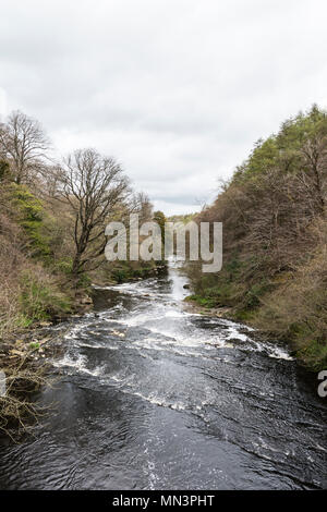 Der Fluss Mandel in Almondell Counrty Park von den Nasmyth Brücke aus gesehen Stockfoto