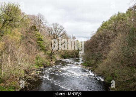 Der Fluss Mandel in Almondell Counrty Park von den Nasmyth Brücke aus gesehen Stockfoto