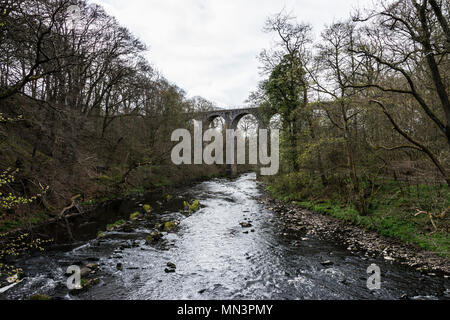 Camps Viadukt überspannt den Fluss Mandel in Almondell & Calderwood Country Park Stockfoto