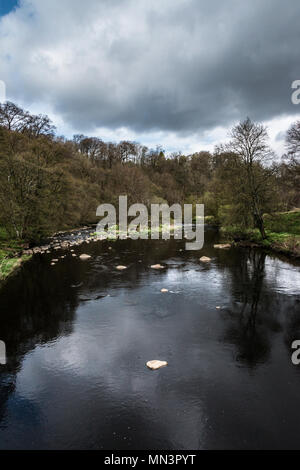 Der Fluss Mandel in Almondell Counrty Park Stockfoto