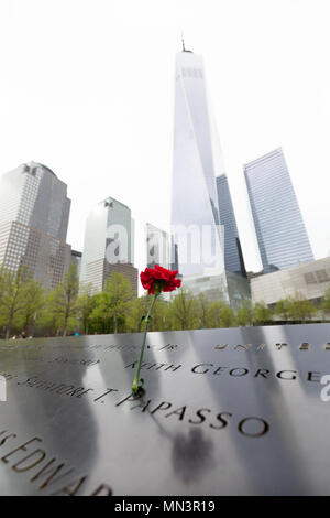 Eine einzelne rote Nelken zum Gedenken an die Opfer des 11. September 2001 Angriff; das Denkmal 9/11 Pools, Downtown New York, New York City, USA Stockfoto