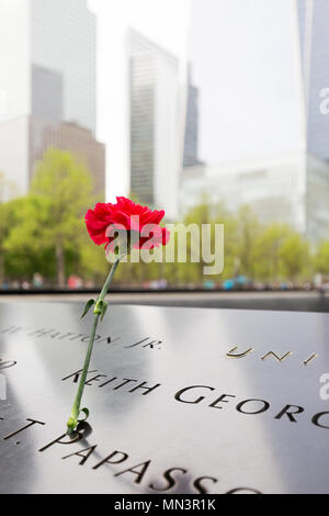 Eine einzelne rote Nelken zum Gedenken an die Opfer des 11. September 2001 Angriff; das Denkmal 9/11 Pools, Downtown New York, New York City, USA Stockfoto