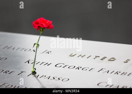 Eine einzelne rote Nelken zum Gedenken an die Opfer des 11. September 2001 Angriff; das Denkmal 9/11 Pools, Downtown New York, New York City, USA Stockfoto