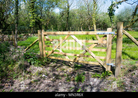 Eine neue Holz- Fünf bar Gate, England - Johannes Gollop Stockfoto