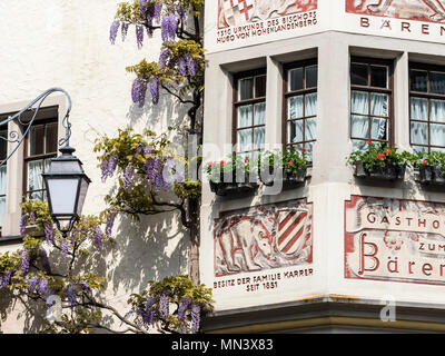 Fassaden, Wisteria sinensis Blauregen, Downtown, Meersburg am Bodensee, Baden-Württemberg, Deutschland Stockfoto