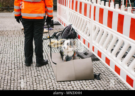 Krankenwagen oder Mitarbeiter der medizinischen Ambulanz mit Hund oder Retter. Man Mitarbeiter von Medizin und Gesundheitswesen. Stockfoto