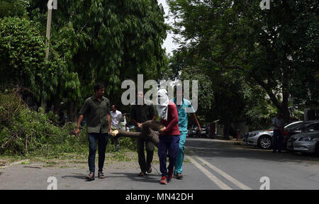 New Delhi, Indien. 14 Mai, 2018. Arbeitnehmer klare entfernt umgestürzte Bäume in Neu Delhi, Indien, 14. Mai 2018. Zahl der Todesopfer in Indien um 65 nach Staub Sturm, Gewitter und Regen begleitet von böigen Winde viele Staaten gestiegen ist, die Beamten, sagte Montag. Credit: Zhang Xijie/Xinhua/Alamy leben Nachrichten Stockfoto