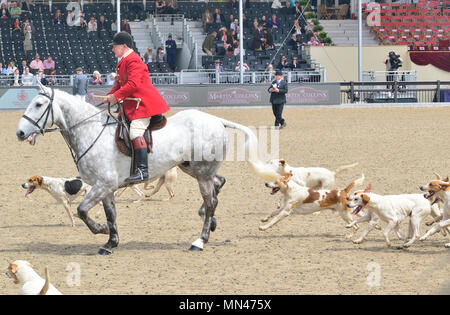 Schloss Windsor, Großbritannien. 13. Mai, 2018. Schloss Windsor, Großbritannien. 13. Mai 2018. Das Royal Windsor Horse Show zu Hause Park Private Windsor Castle UK Treffen der Jagdhunde Credit: Gary Blake/Alamy leben Nachrichten Stockfoto