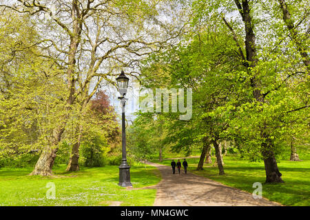 Green Park, London, England, UK Stockfoto