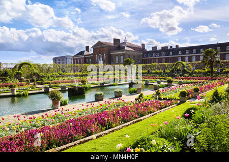 Wunderschöne Blumenausstellung im Sunken Garden im Kensington Palace, Kensington Gardens, Royal Borough of Kensington und Chelsea, London, England, Großbritannien Stockfoto