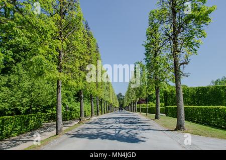 Bayreuth ist eine Stadt, die Historisch gewachsen als Markgräfliche Residenz und ist inzwischen weltberühmt, weil der Richard Wagner Festival. Stockfoto