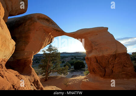 Metate Arch bei Devil's Garden, bei Sonnenuntergang, Grand Staircase-Escalante National Monument, Utah, United States Stockfoto