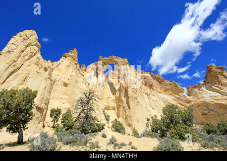 Grosvenor Arch Double Arch, Cottonwood Canyon Road im Grand Staircase Escalante National Monument, Utah, United States Stockfoto