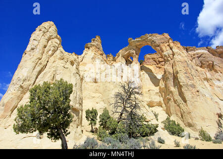 Grosvenor Arch Double Arch, Cottonwood Canyon Road im Grand Staircase Escalante National Monument, Utah, United States Stockfoto