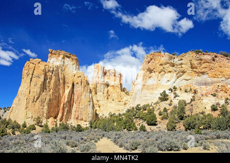 Berg am Grosvenor Arch Double Arch, Cottonwood Canyon Road im Grand Staircase Escalante National Monument, Utah, United States Stockfoto